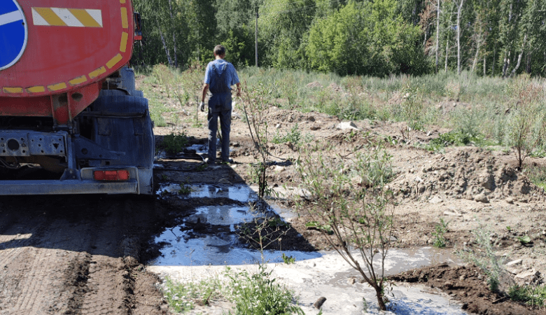 Полив деревьев после высадки 